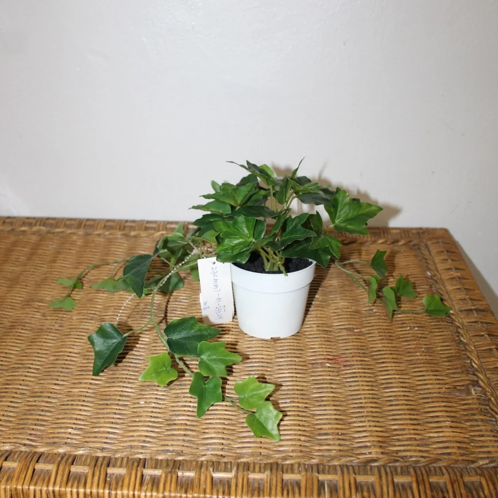 Williams Sonoma Artificial Potted Green Leaf.